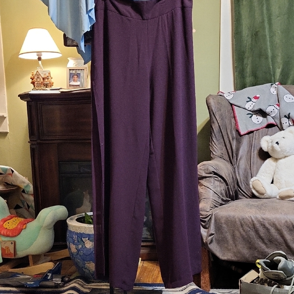 SD Collection Deep Purple Women's Trousers